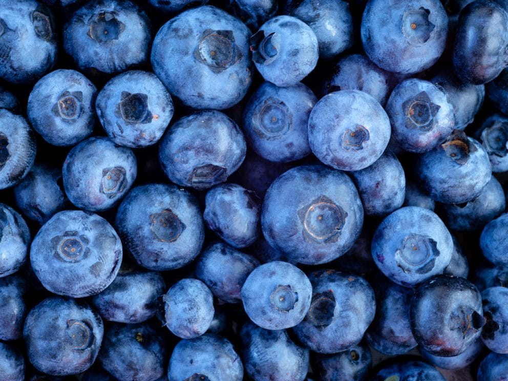 Kiril Mischeff Product Blueberry