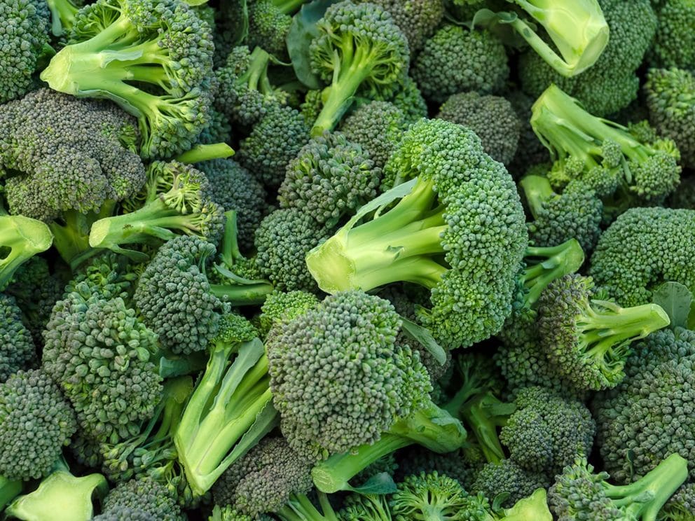 Kiril Mischeff Product Broccoli