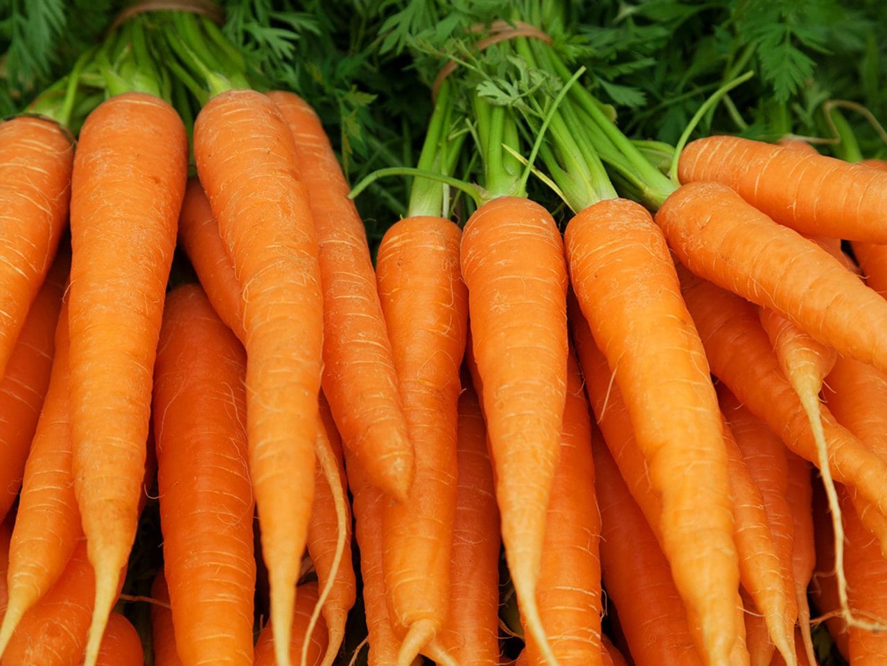 Kiril Mischeff Product Carrot