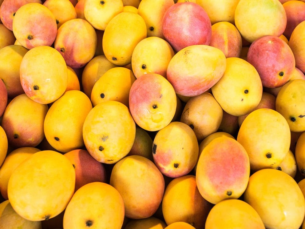 Kiril Mischeff Product Mango