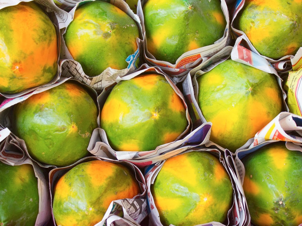 Kiril Mischeff Product Papaya