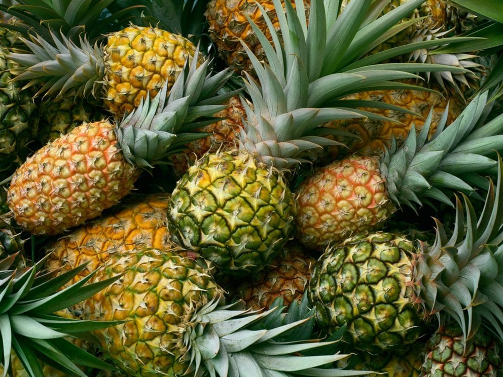 Kiril Mischeff Product Pineapple