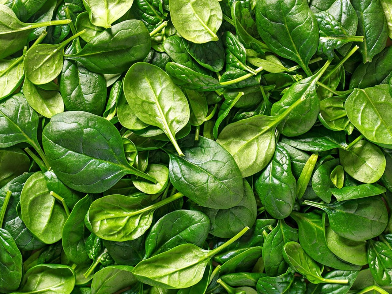 Kiril Mischeff Product Spinach