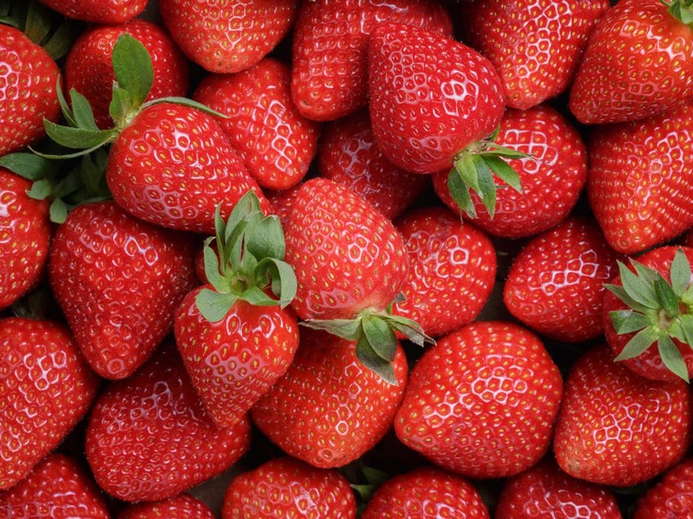 Kiril Mischeff Product Strawberry
