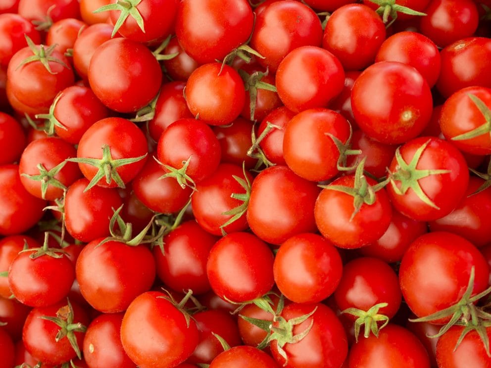 Kiril Mischeff Product Tomato